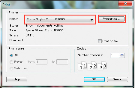 win_epson_R3000.jpg