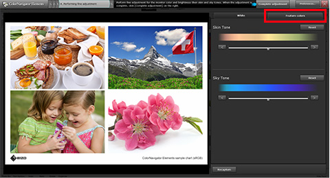 Under the Feature Colors tab, you can separately adjust Skin Tone and Sky Tone, which tend to be difficult to match visually.