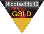 Nicolas11x12-Gold-Award.jpg