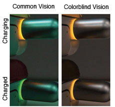 common vision and colorblind vision