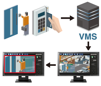 vms.jpg