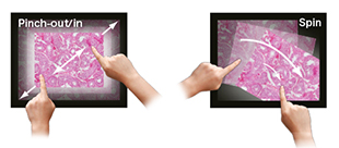 multitouch.jpg