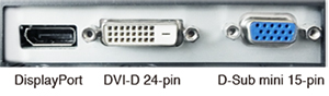 connectors - Monitor 19" Eizo S1934H  Czarny