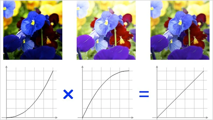 Is the beauty of a curve decisive for color reproduction? Learning about LCD monitor gamma