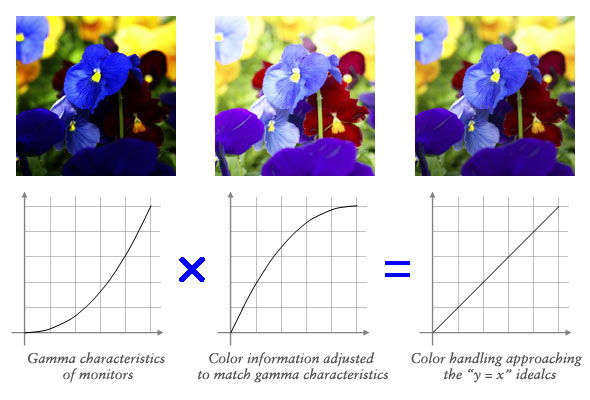 gamma curves