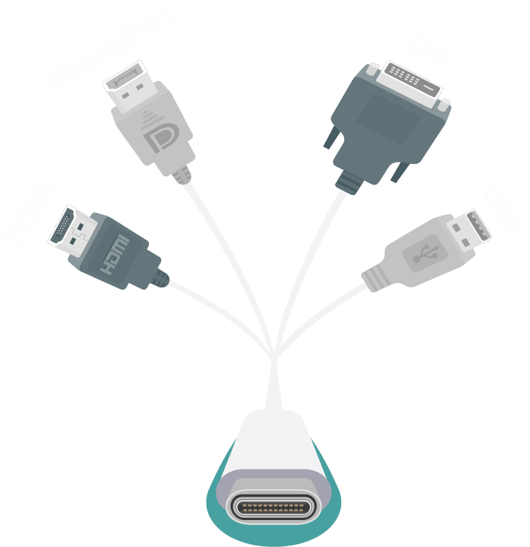 HDMI, displayPort, DVI, USB
