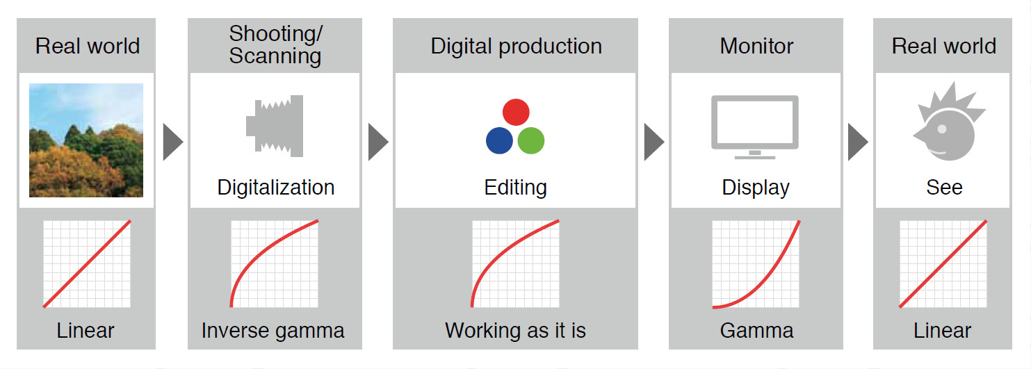 3how-linear1.jpg