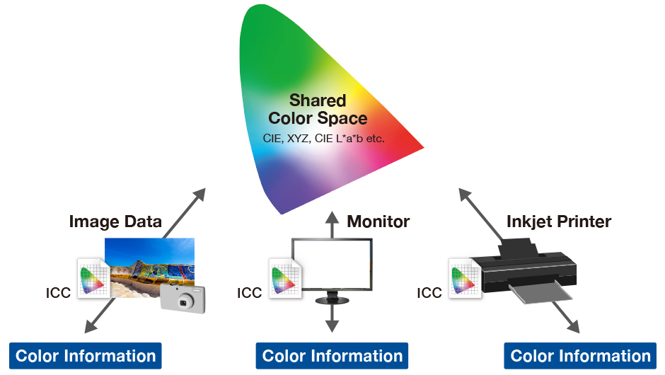 Color Management for Creators - ICC Profiles | EIZO