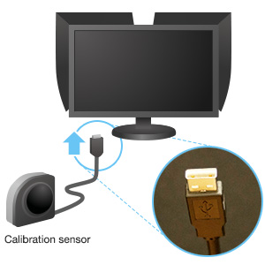 Calibration sensor