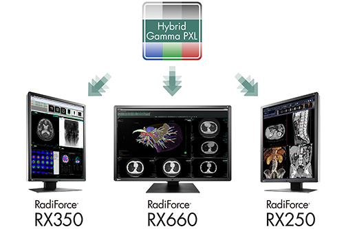 EIZO Improves Efficiency of Monochrome and Color Image Interpretation with Expansion of Hybrid Display Function