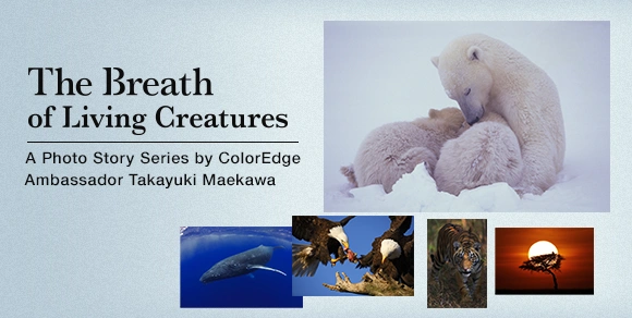 The Breath of Living Creatures by Takayuki Maekawa