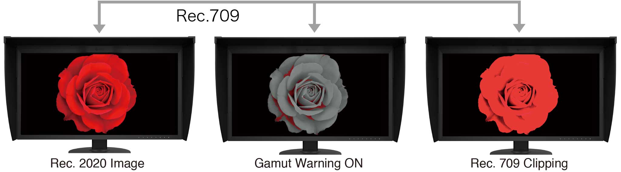 Rec.<br>709 Out of Gamut Warning