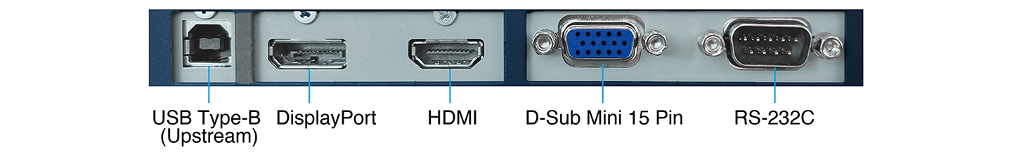 Complete Connection