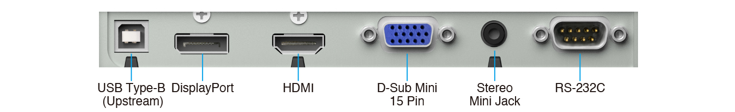 Complete Connection