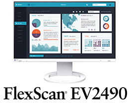 FlexScan EV2490