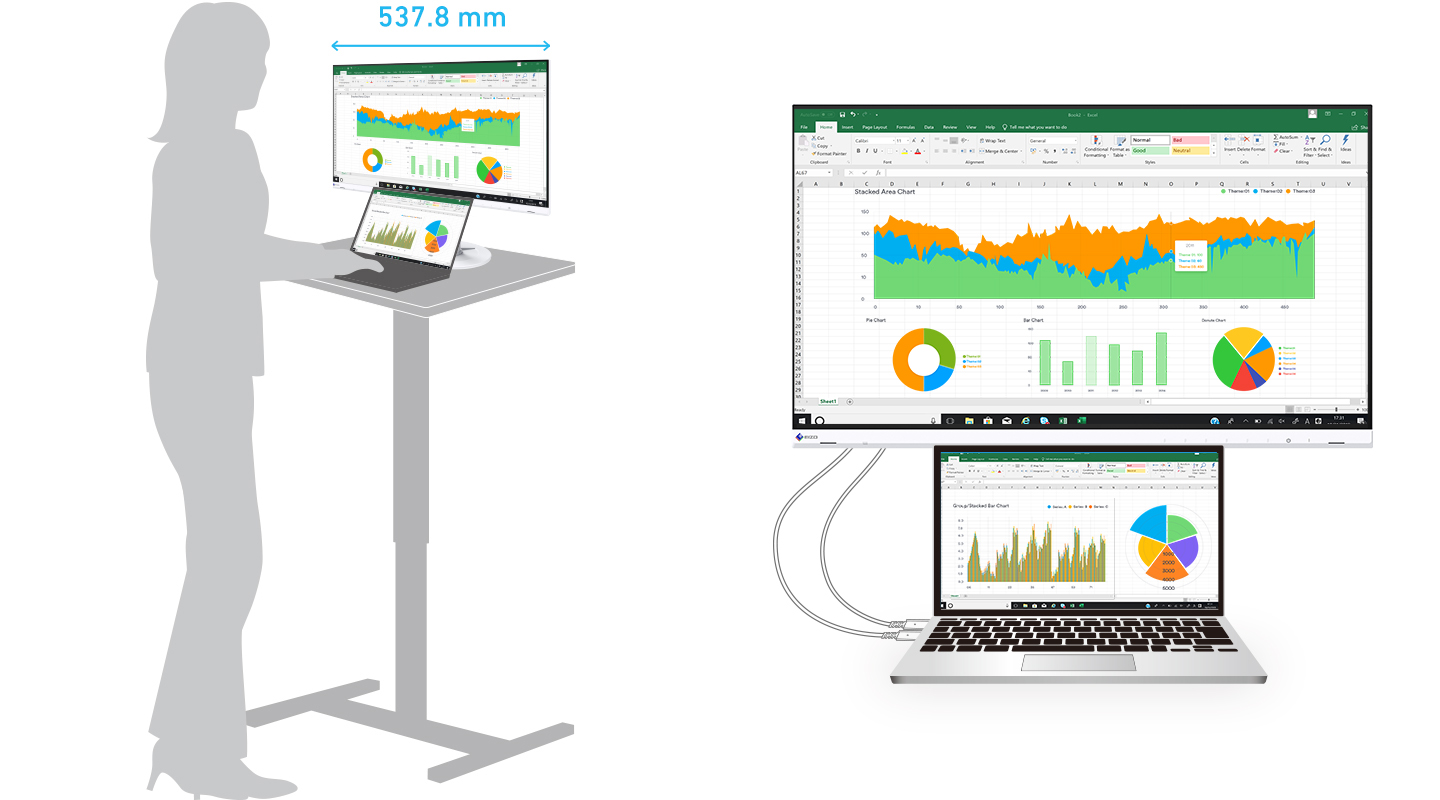 FlexScan EV2460  Monitor de PC de 24 pulgadas con módulo LCD IPS para una  calidad de imagen excepcional