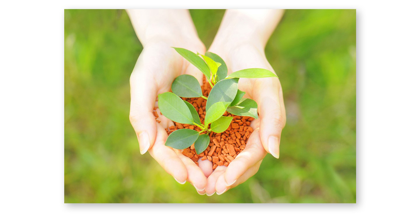 Prendre soin de l'environnement