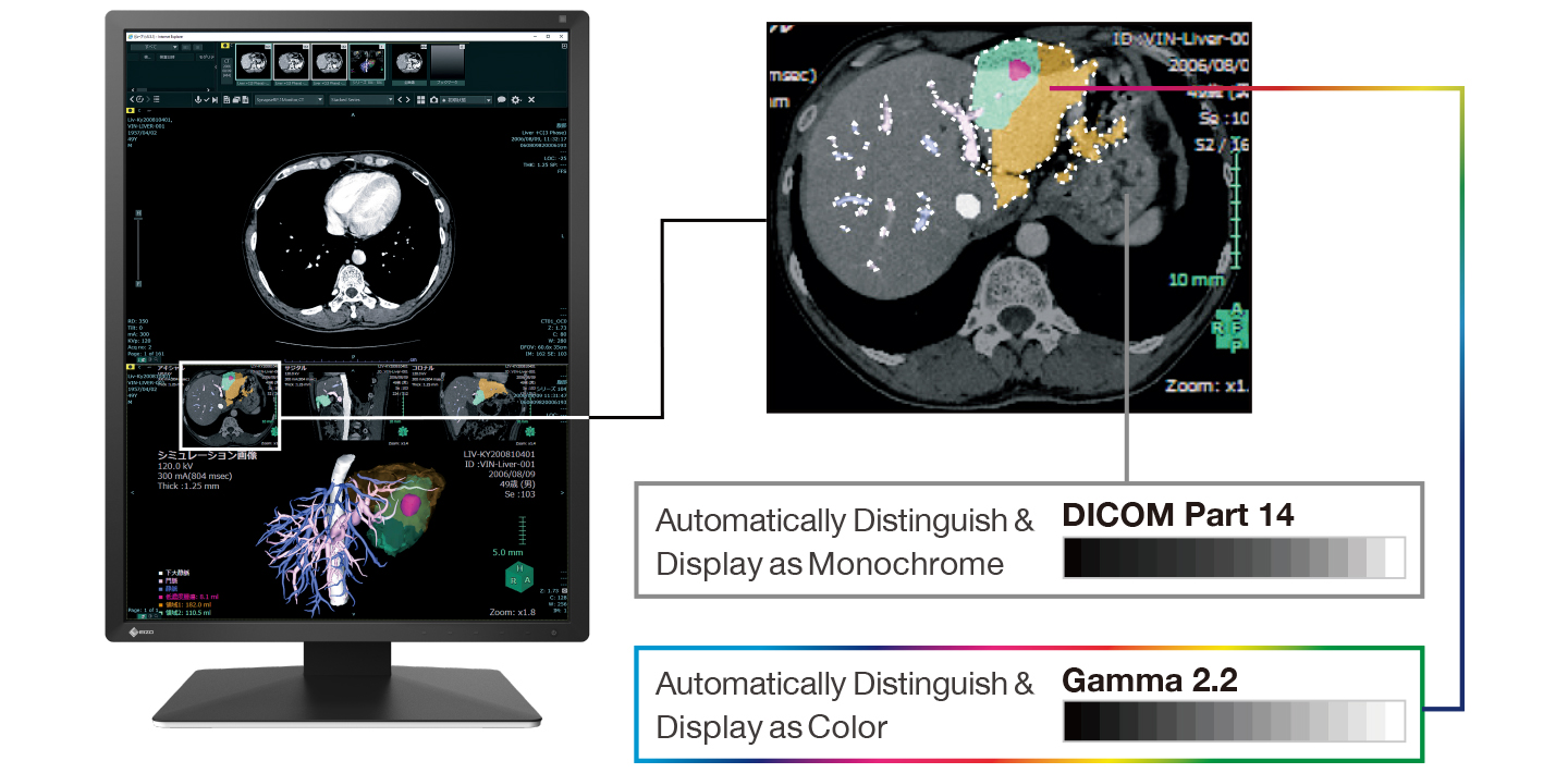 Hybrid Display of Monochrome and Color