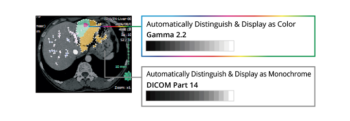Hybrid Display of Monochrome and Color