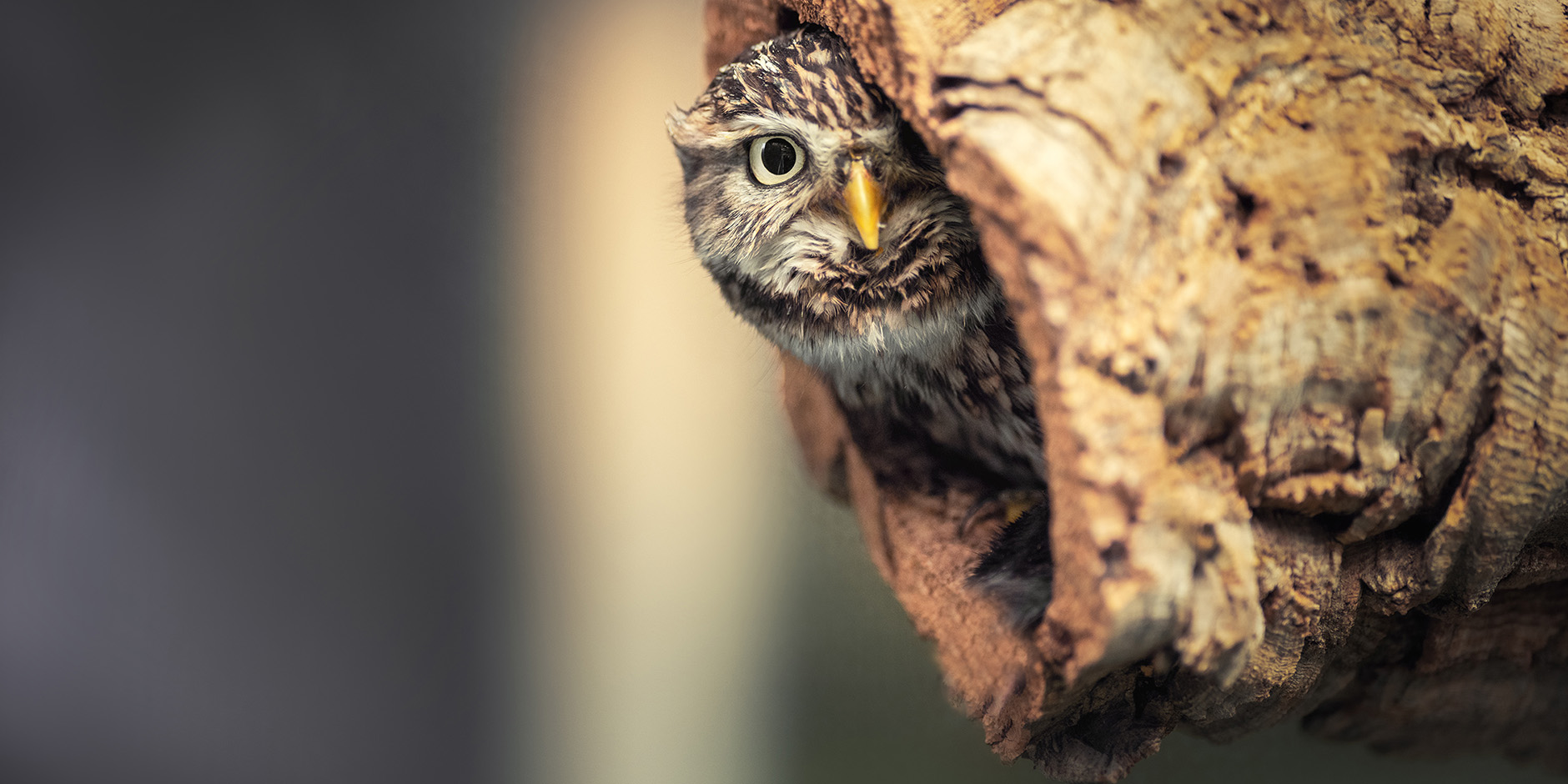 tanja-brandt_img01