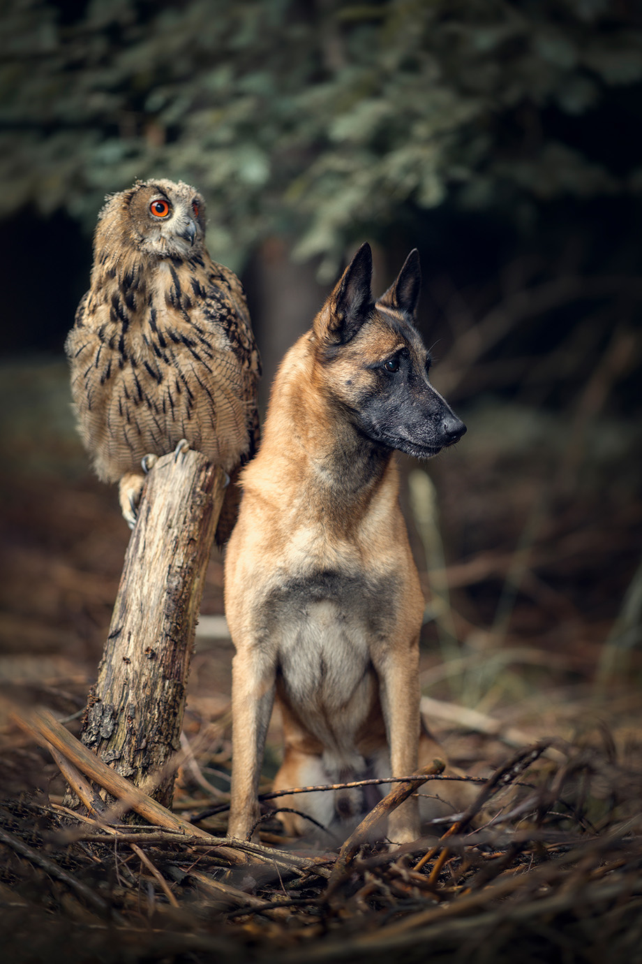 tanja-brandt_img02