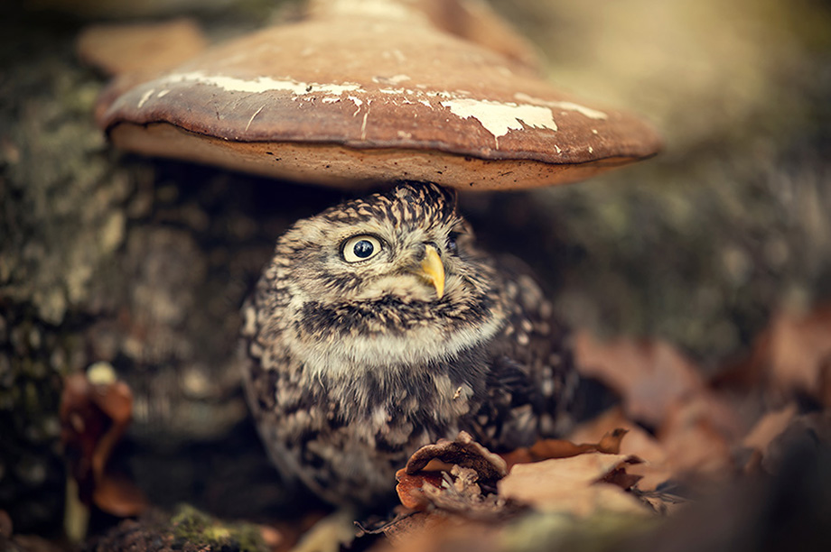 tanja-brandt_img06