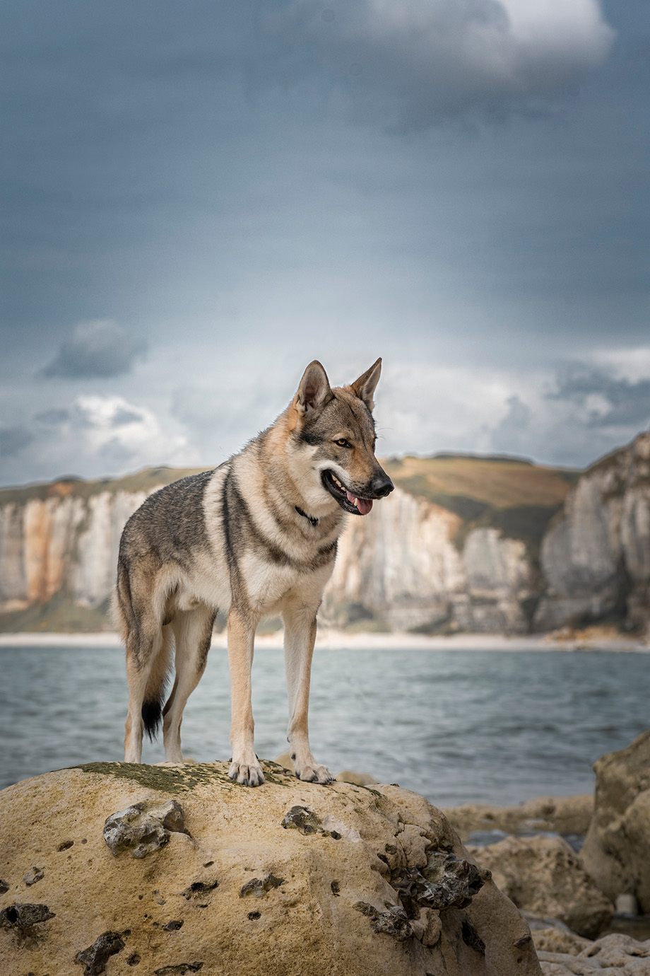 tanja-brandt_img08