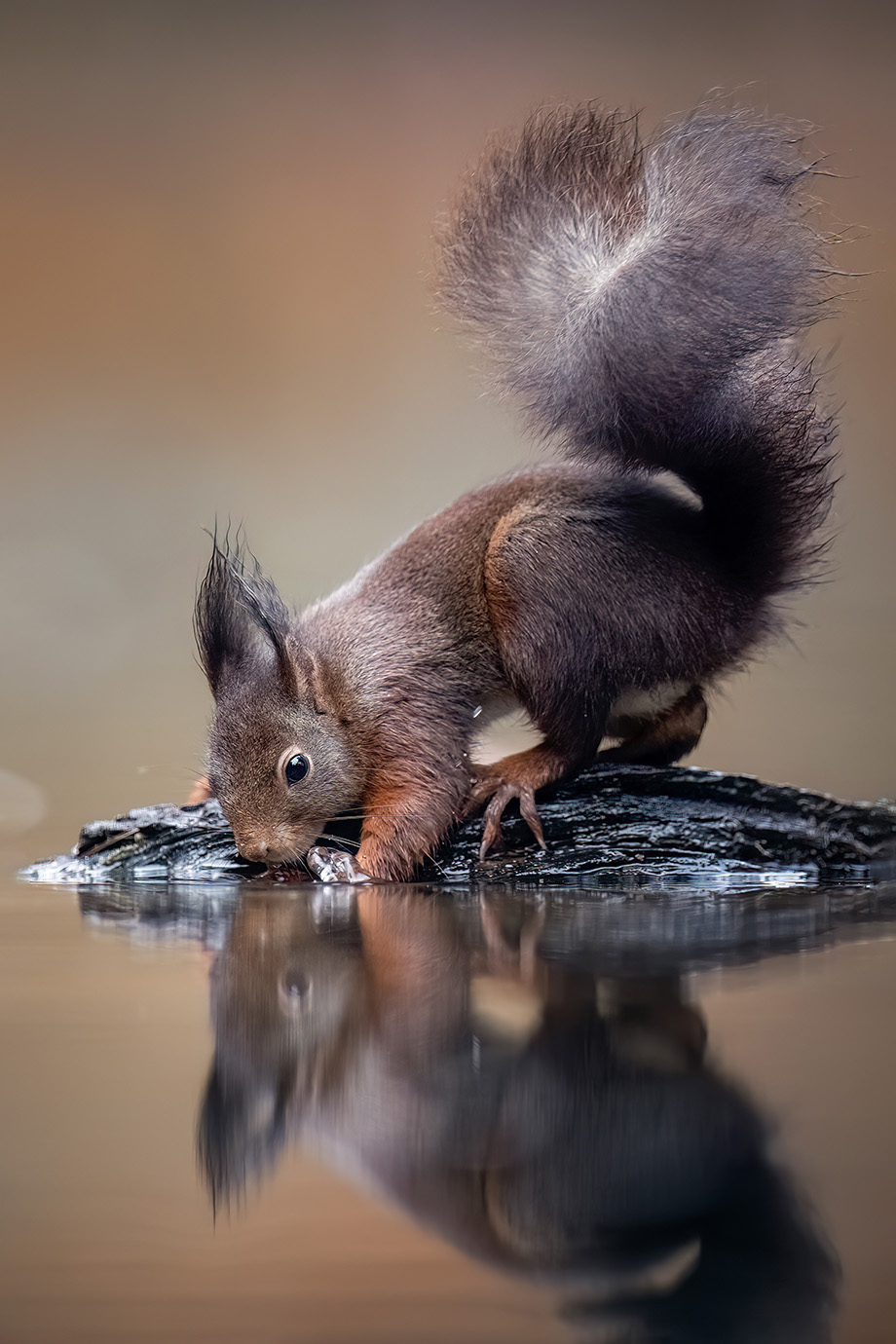 tanja-brandt_img09