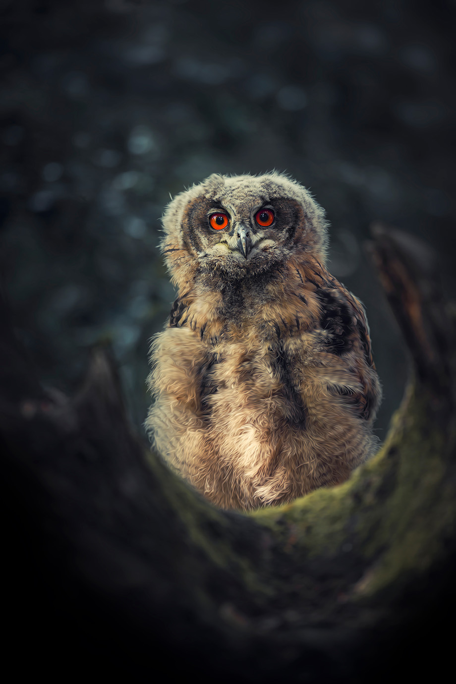 tanja-brandt_img13