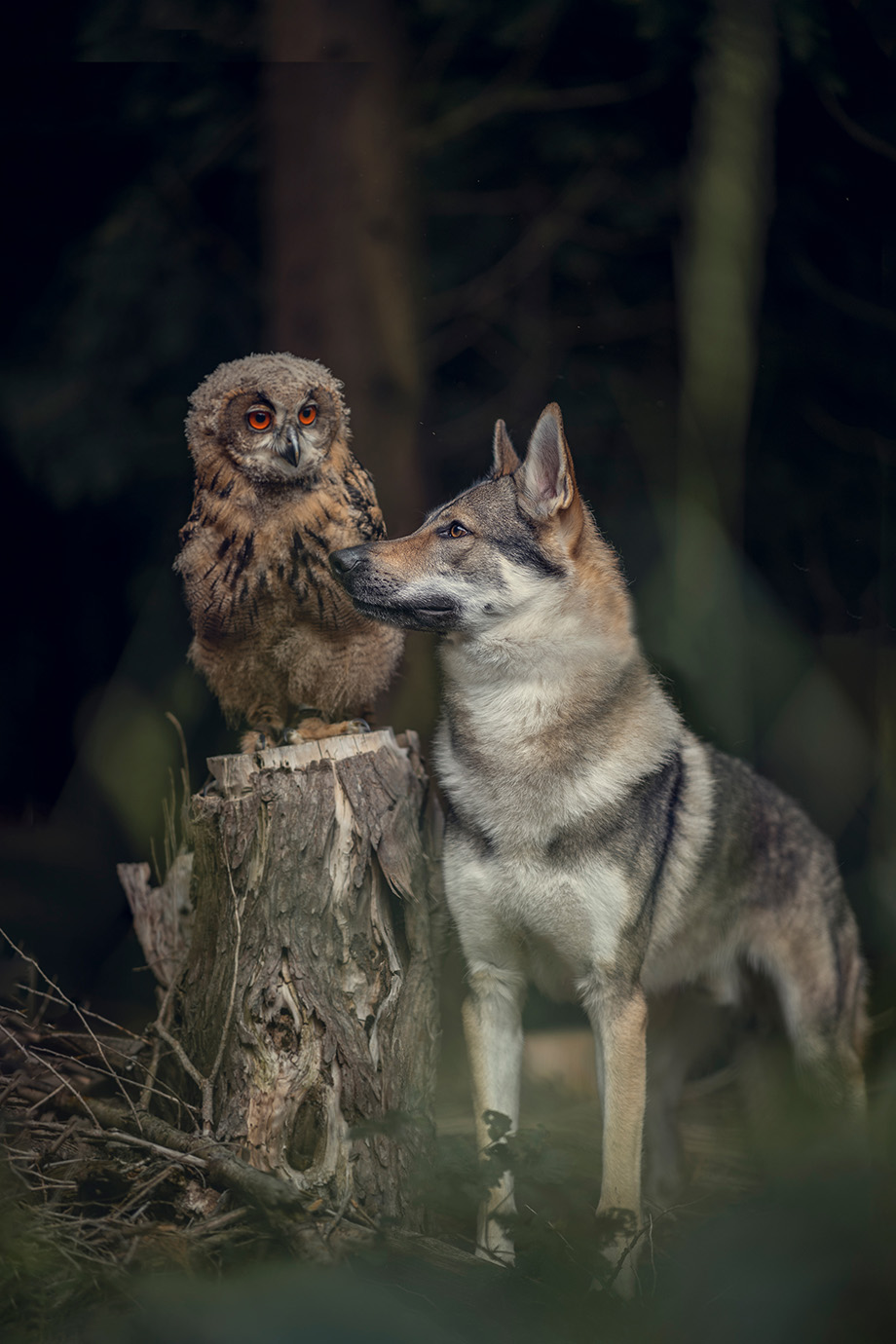 tanja-brandt_img15