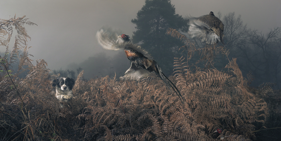 tim_flach_img001