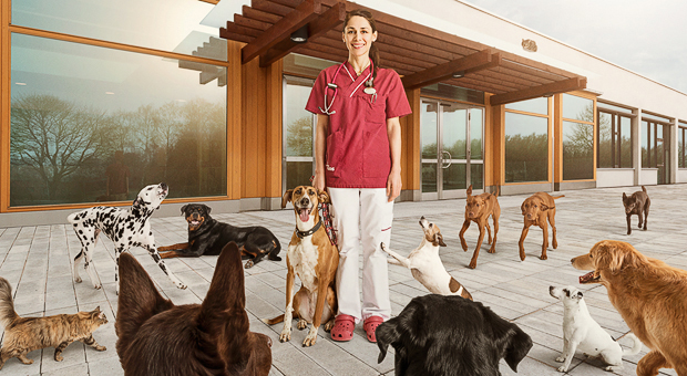 University Animal Hospital