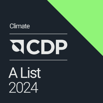 CDP 2022